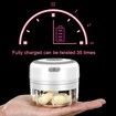 Electric Mini Garlic Chopper,100ML USB Mini Food Chopper Garlic Mincer,Vegetable Chopper,Onion Chopper,Portable Small Food Processor for Garlic,Ginger,Chili,Vegetables (White,100ml)