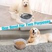 Pet Water Bowl, No Spill Slow Water Feeder, Clear Pet Water Dispenser, Visible Water Level, Slow Drinking Bowl for Small Medium Large Dogs Cats
