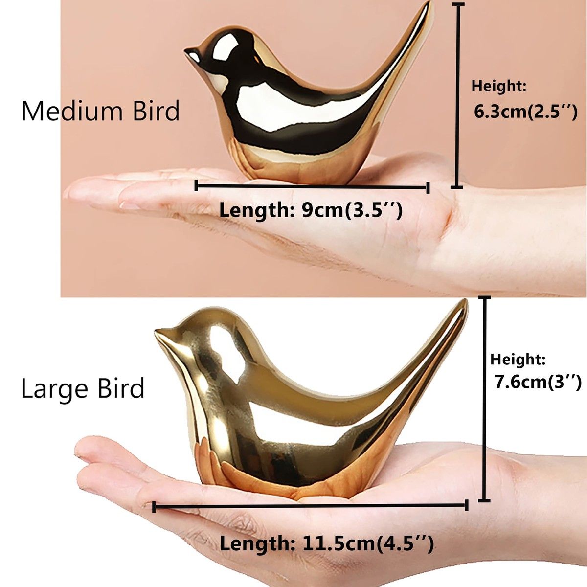 https://img.bestdeals.co.nz/products_pictures/556/55664_522034_F.jpg