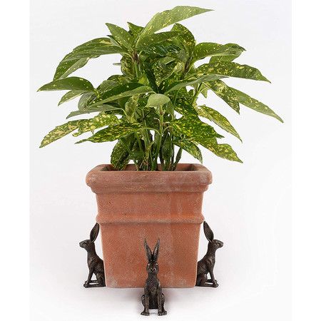 https://img.bestdeals.co.nz/products_pictures/556/55667_522065_F.jpg