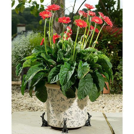https://img.bestdeals.co.nz/products_pictures/556/55667_522066_F.jpg