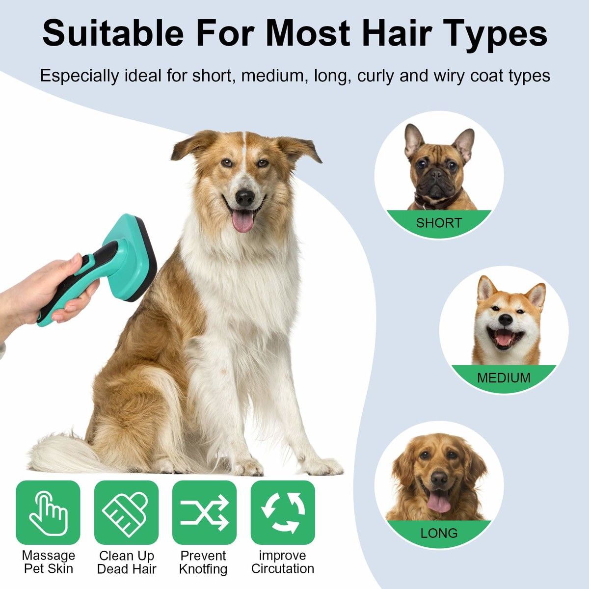 https://img.bestdeals.co.nz/products_pictures/556/55689_522209_F.jpg