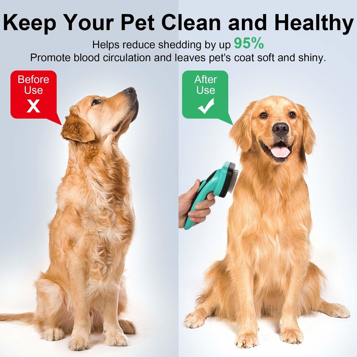 https://img.bestdeals.co.nz/products_pictures/556/55689_522210_F.jpg