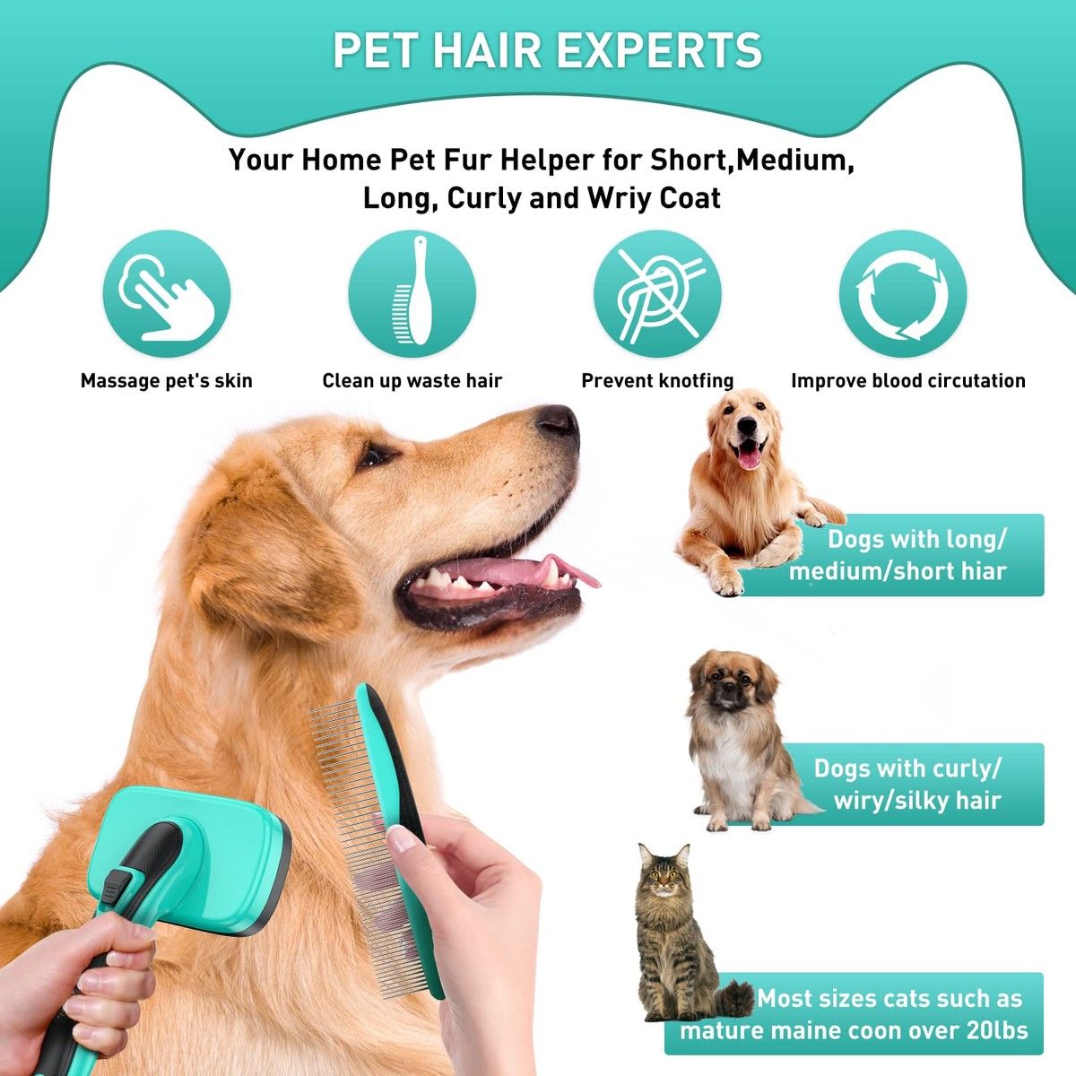 https://img.bestdeals.co.nz/products_pictures/556/55689_522216_F.jpg