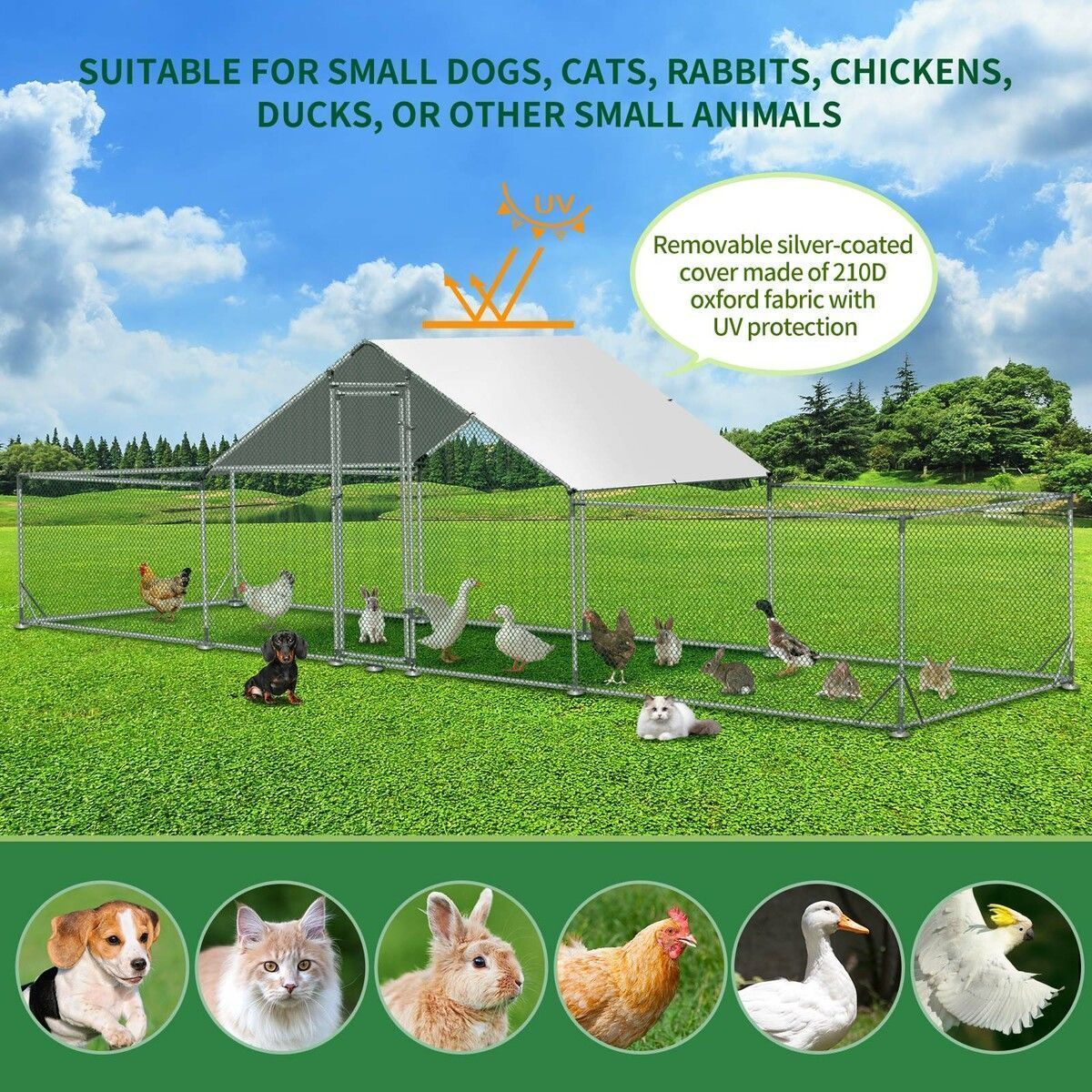 https://img.bestdeals.co.nz/products_pictures/557/55702_522343_F.jpg