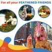 Automatic Chicken Water Cup Set of 5 | Chicken Water Feeder Suitable for Chickens, Duck, Goose, Turkey and Bunny | Poultry Water Feeder Kit