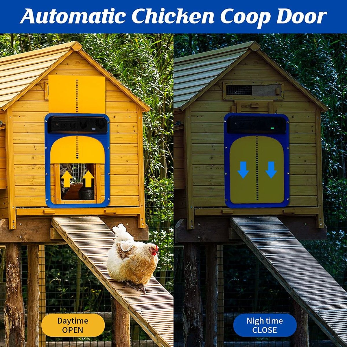 https://img.bestdeals.co.nz/products_pictures/557/55712_522449_F.jpg