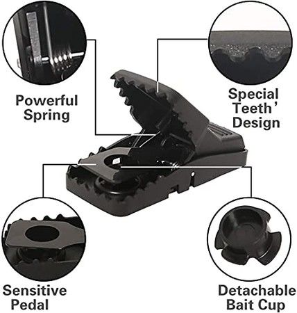 https://img.bestdeals.co.nz/products_pictures/557/55787_523117_F.jpg