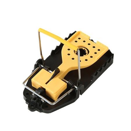 https://img.bestdeals.co.nz/products_pictures/557/55788_523119_F.jpg