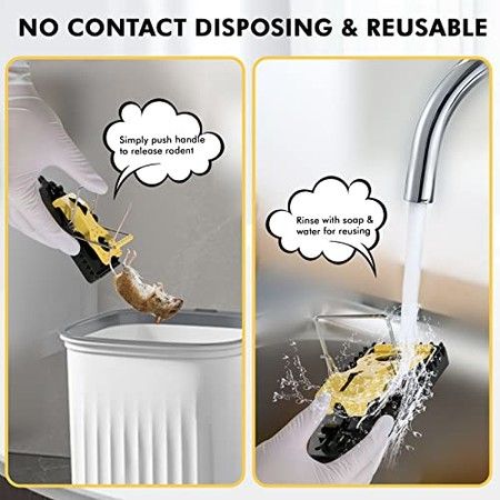 https://img.bestdeals.co.nz/products_pictures/557/55788_523123_F.jpg