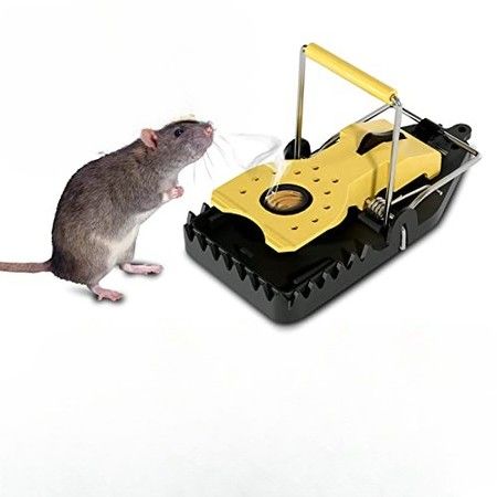 https://img.bestdeals.co.nz/products_pictures/557/55788_523124_F.jpg