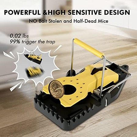 https://img.bestdeals.co.nz/products_pictures/557/55788_523125_F.jpg