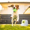 Dog Ball Launcher Automatic Thrower Fetch Throwing Machine Adjustable Distance 3 Coloured Silicone Balls Waterproof Dirt Resistant Petscene
