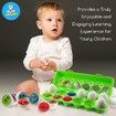 Dinosaur Matching Eggs Kids 12 P Early Learning and Educational STEM Fun Teaches Sorting and Fine Motor Skills Recognition, Easter Gift Age 3+