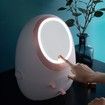 LED Makeup Organizer Modern Jewelry and Cosmetic Display Cases with Led Lighted Mirror for Bathroom Dresser