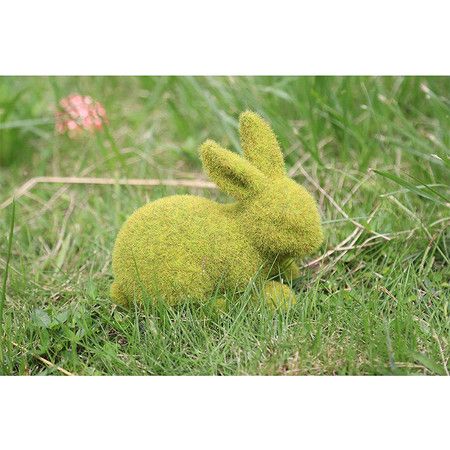 https://img.bestdeals.co.nz/products_pictures/559/55988_525059_F.jpg