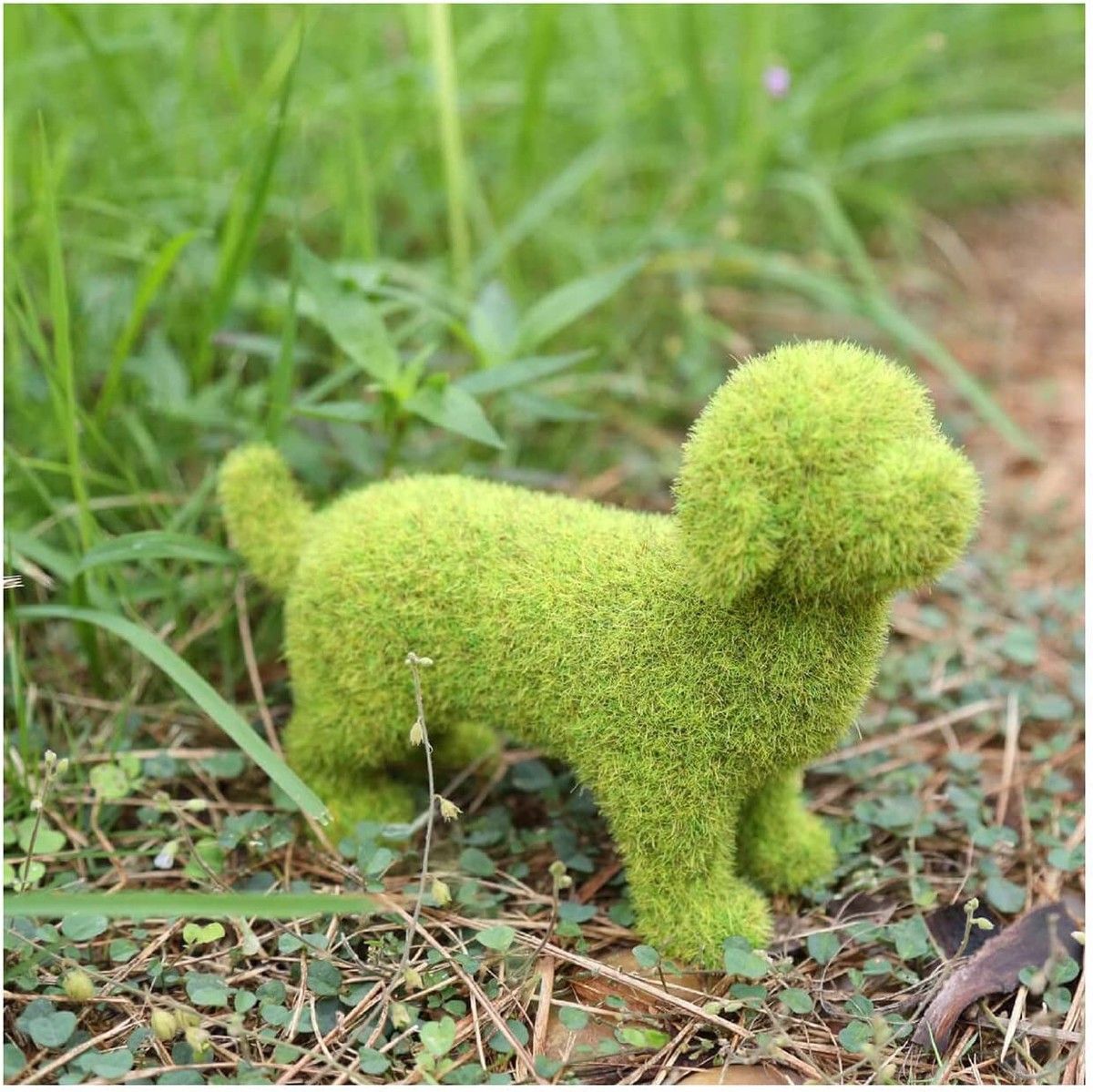 https://img.bestdeals.co.nz/products_pictures/559/55995_525102_F.jpg