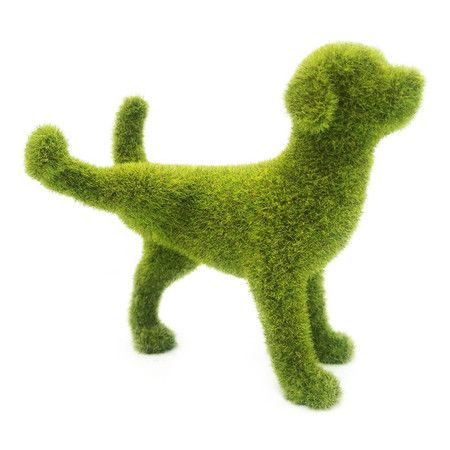 https://img.bestdeals.co.nz/products_pictures/559/55996_525117_F.jpg