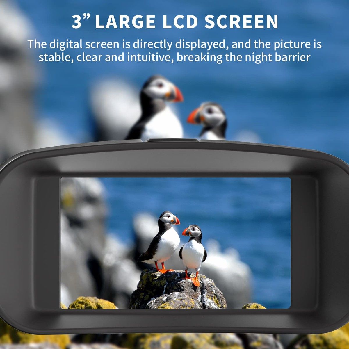 https://img.bestdeals.co.nz/products_pictures/560/56036_525415_F.jpg