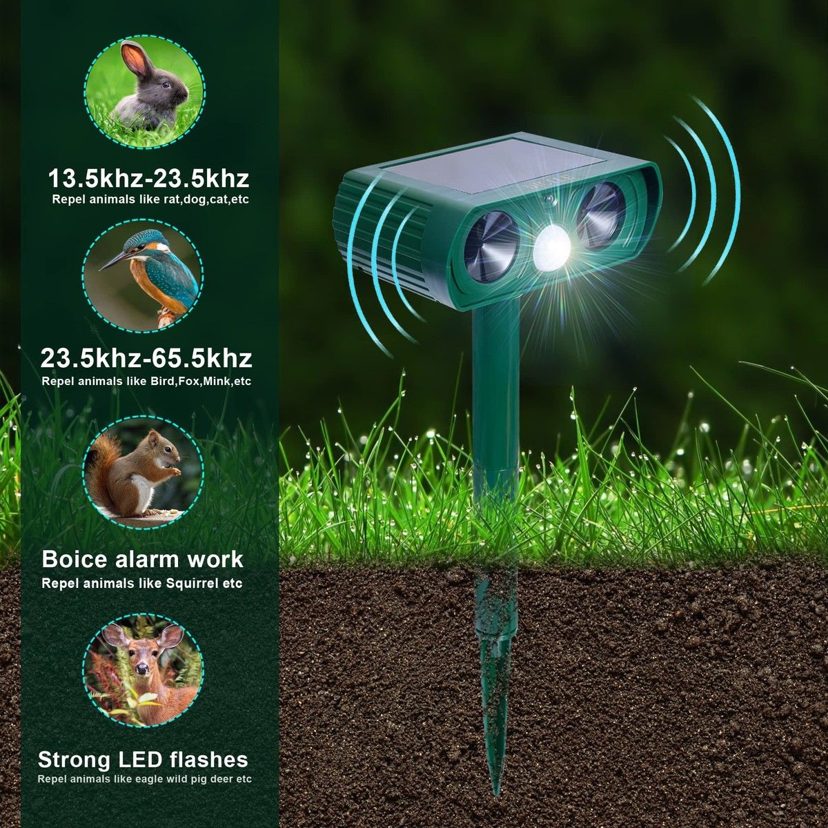 https://img.bestdeals.co.nz/products_pictures/561/56171_526592_F.jpg