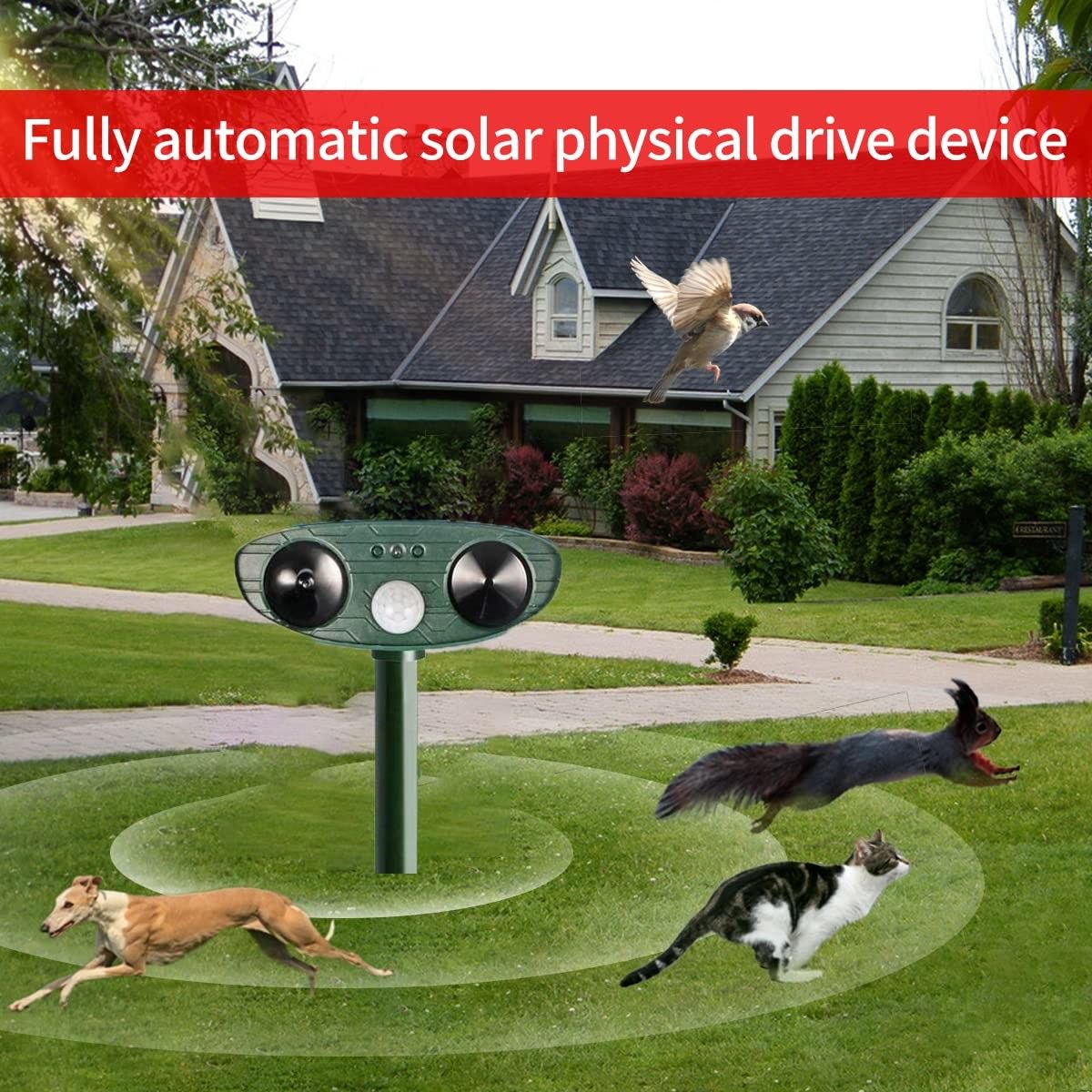 https://img.bestdeals.co.nz/products_pictures/561/56172_526604_F.jpg