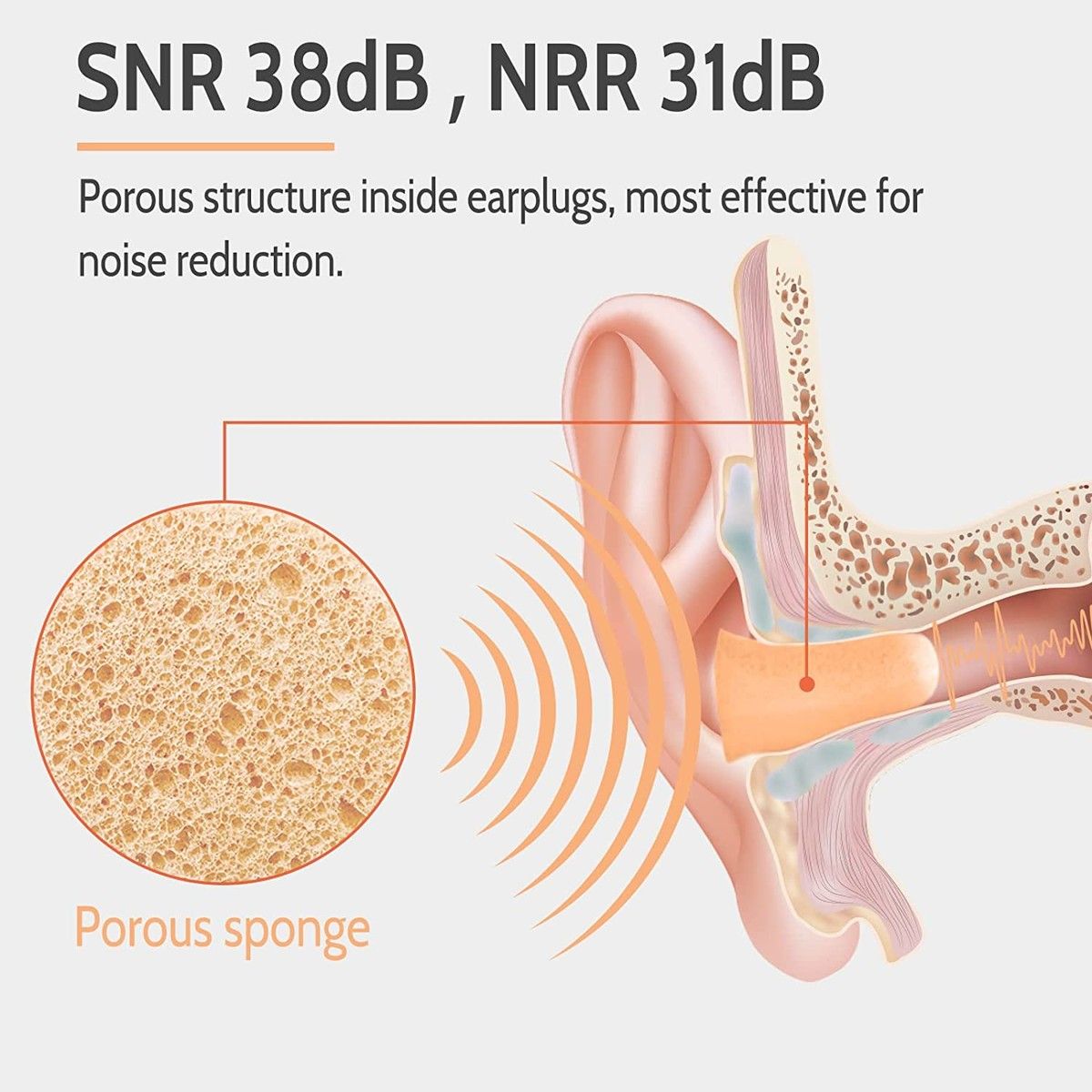 https://img.bestdeals.co.nz/products_pictures/561/56180_526667_F.jpg