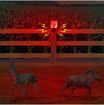 Solar Alarm, Infrared Timed Alarm Light, 13 Built-in Sound Effects Recordable, 8 Red LED , Suitable for Orchards, Construction Sites, Farm Barns