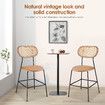 2pcs Rattan Bar Stool Set Kitchen Island Dining Chairs Breakfast Counter Height Home Pub Modern Cane Backrests Armless Brown Wooden Metal PU Leather
