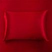 4 Piece Satin Bedding Sheet Pillowcase Sets Luxury Rich Silk Silky Super Soft Solid Color Reversible Stain-Resistant Wrinkle Free (Burgundy Red)