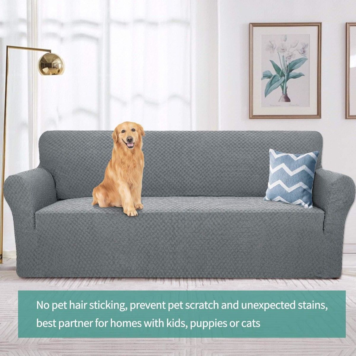 https://img.bestdeals.co.nz/products_pictures/564/56403_528857_F.jpg