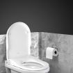 Non Electric Bidet Toilet Seat - White