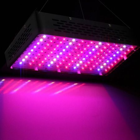 https://img.bestdeals.co.nz/products_pictures/565/56559_530028_F.jpg