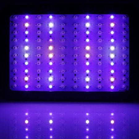 https://img.bestdeals.co.nz/products_pictures/565/56559_530031_F.jpg