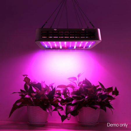 https://img.bestdeals.co.nz/products_pictures/565/56559_530032_F.jpg