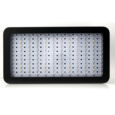 https://img.bestdeals.co.nz/products_pictures/565/56560_530035_F.jpg