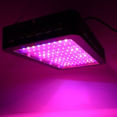 https://img.bestdeals.co.nz/products_pictures/565/56560_530037_F.jpg