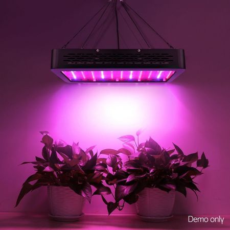 https://img.bestdeals.co.nz/products_pictures/565/56560_530041_F.jpg