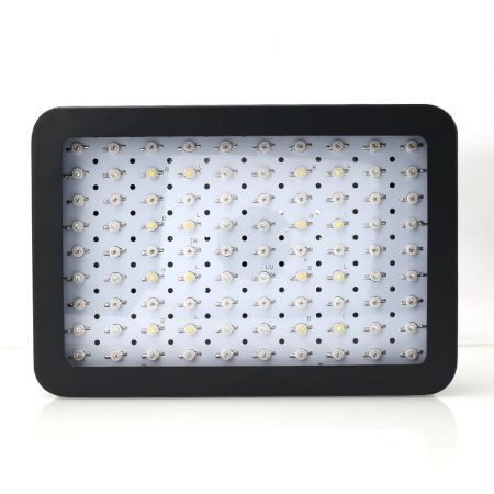 https://img.bestdeals.co.nz/products_pictures/565/56561_530044_F.jpg