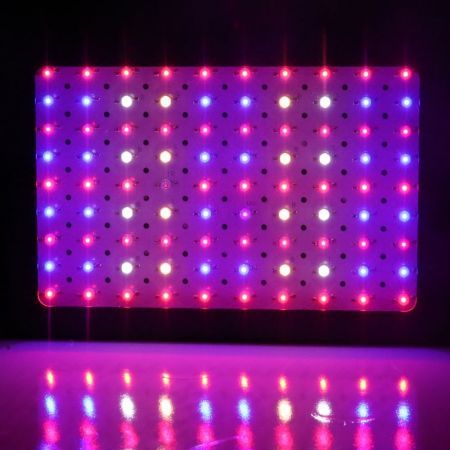 https://img.bestdeals.co.nz/products_pictures/565/56561_530047_F.jpg