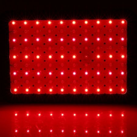 https://img.bestdeals.co.nz/products_pictures/565/56561_530048_F.jpg