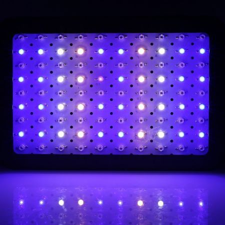 https://img.bestdeals.co.nz/products_pictures/565/56561_530049_F.jpg