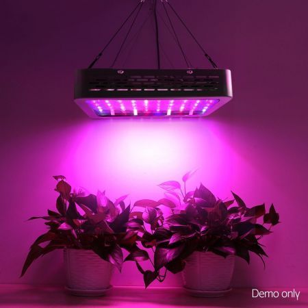 https://img.bestdeals.co.nz/products_pictures/565/56561_530050_F.jpg
