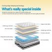 Giselle Bedding Rumba Tight Top Pocket Spring Mattress 24cm Thick -Single