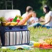 Alfresco 6 Person Picnic Basket Set Picnic Bag Cooler Wheels Insulated Bag