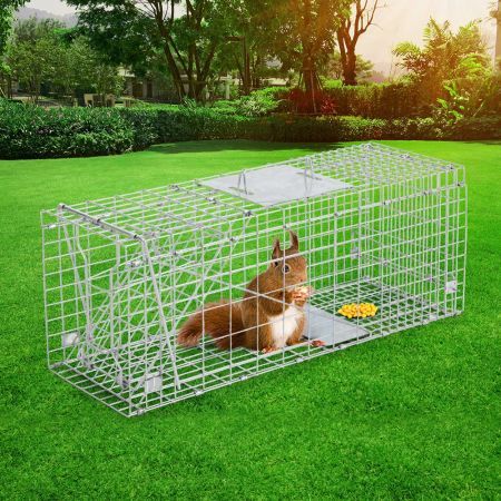 https://img.bestdeals.co.nz/products_pictures/568/56839_532248_F.jpg