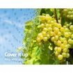 Instahut Bird Netting Anti Net Mesh Commercial Plant Fruit Trees 10m x 10m 30GSM Black