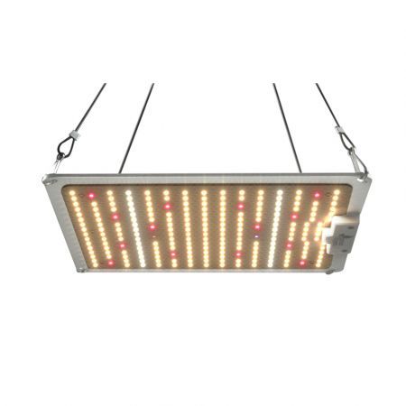 https://img.bestdeals.co.nz/products_pictures/571/57191_590475_F.jpg
