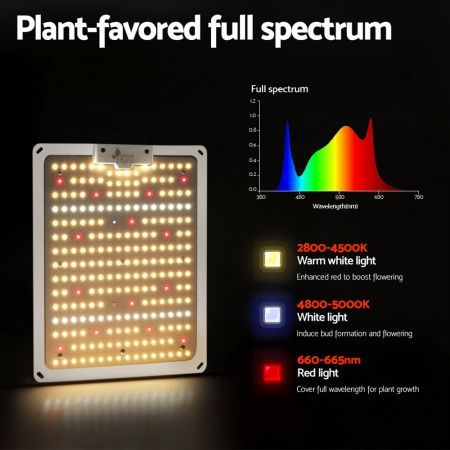 https://img.bestdeals.co.nz/products_pictures/571/57191_590476_F.jpg