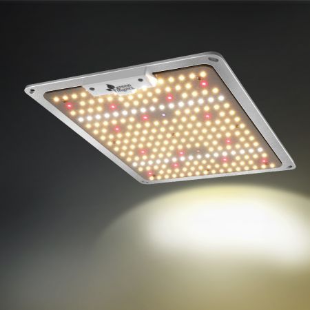 https://img.bestdeals.co.nz/products_pictures/571/57191_590480_F.jpg