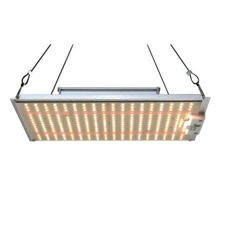https://img.bestdeals.co.nz/products_pictures/571/57192_590483_F.jpg